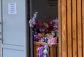 В Анапе продают игрушки в уличном сортире