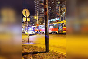 В Краснодаре пассажир избил водителя трамвая