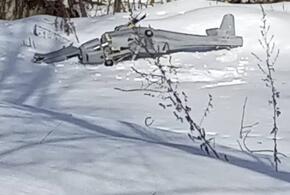 В Подмосковье беспилотник ВСУ упал, не долетев 100 метров до цели