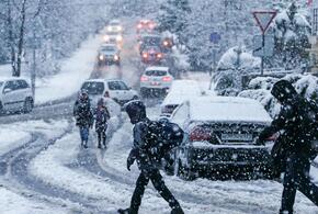 В Сочи ночной снегопад вызвал энергоаварии и пробки на дорогах