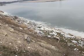 Эко-ужас: в Краснодаре загадили реку Кубань и ее берег