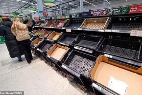 В Британии из-за нехватки продуктов начали нормировать яйца и овощи