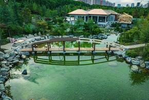 В Краснодаре перенесли открытие Японского сада