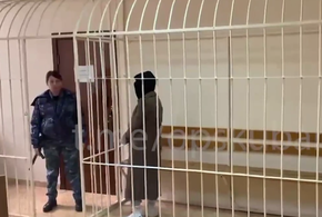 В Сочи под домашний арест отпустили жену блогера-сыроеда