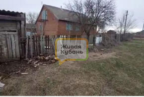 Жесть: волонтеры из Краснодара обнаружили могильник на месте приюта для собак 
