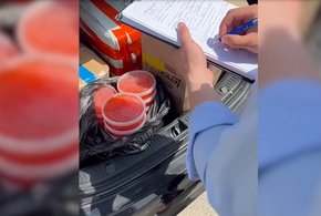 Житель Анапы пытался продать 130 килограммов немаркированной красной икры
