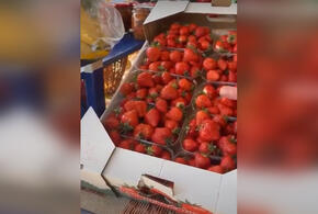 Популярного шеф-повара Ивлева поразили высокие цены на клубнику в Краснодаре