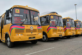 В Краснодаре с 1 сентября хотят отменить школьные автобусы