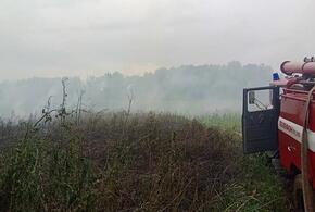 В Краснодаре из-за мусора загорелся лесопарк