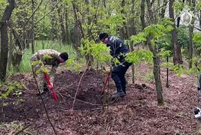 В лесополосе на Кубани нашли тело пропавшего 37-летнего аниматора