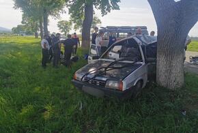 В Новороссийске водитель «Лады» намотал машину на дерево
