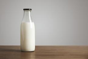 Диетолог раскрыла секрет «лунного молока»