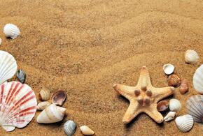 Эксперты предупредили, что с началом пляжного сезона возрастает риск заражения паразитами