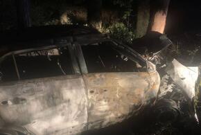 В Краснодаре машина врезалась в дерево и загорелась, погибла девушка-подросток