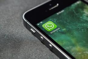 В WhatsApp можно заглушать неизвестные звонки