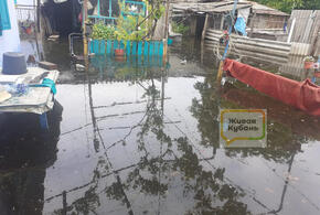 «Живая Кубань» помогла: в Лабинске в доме бойца СВО откачивают воду
