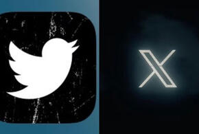Птичку жалко: сеть Twitter сменила логотип