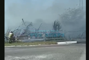 В Анапе возле АЗС горит камыш на площади 1500 квадратных метров