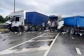 В Краснодаре на Ростовском шоссе столкнулись две фуры