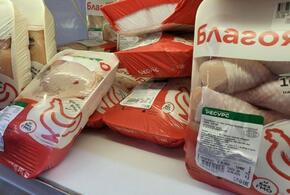 В магазинах Кубани обнаружена курица с бактериями сальмонеллы