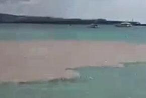 Власти Геленджика объяснили грязное пятно от канализации в море