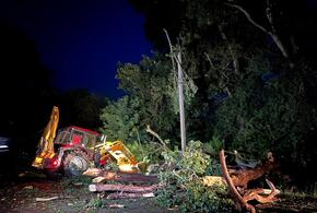 В Крымском районе Кубани штормовой ветер повалил деревья на трассу