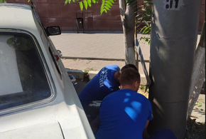 В Новороссийске спасатели извлекли котенка из уличного фонаря, как он там оказался – непонятно 