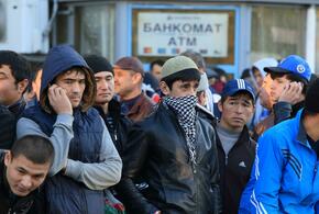: В России проживает треть населения Таджикистана