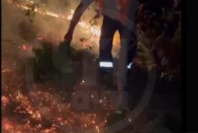 Дорожные рабочие в Сочи при помощи веников спасли АЗС от пожара