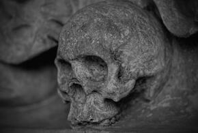 Скелет человека в черных трусах найден в Подмосковье