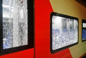 В Сочи школьники разбили стекла в вагоне электрички «Ласточка»