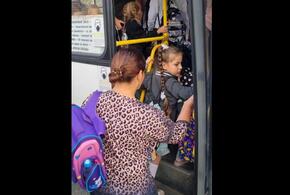 Вернуть школьные автобусы: краснодарцы обратились к председателю Госдумы Володину