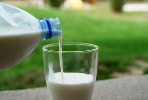 Молочные продукты в России резко подорожают