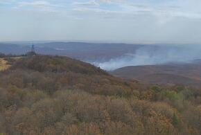 Мощный пожар охватил почти 10 гектаров леса на Кубани