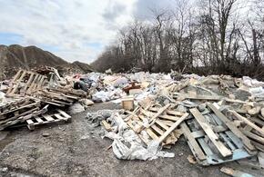 По уши в грязи: ущерб от стихийных свалок в Краснодаре оценили почти в 300 млн рублей