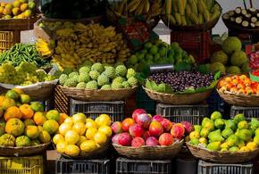 Проживем без авокадо: стали известны продукты, которые из-за войны на Ближнем Востоке исчезнут в России