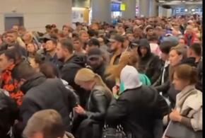 Толпы и задержки рейсов: во Внуково произошел сбой в системе обработки багажа