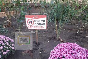 Заминировано: газоны Краснодара становятся отхожими местами для псов