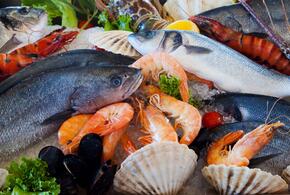 Диетолог назвала самые полезные морепродукты