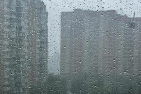 Дожди и туманы: погода на Кубани готовит нас к зиме