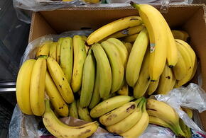 Эксперт рассказал, почему в России стремительно дорожают бананы