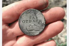 Медаль «За отвагу» нашли на грядках клубники в Краснодарском крае