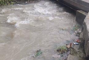 Наводнения и оползни: в Сочи за день выпала месячная норма осадков
