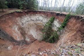 Необъяснимый гигантский провал обнаружен в башкирском лесу