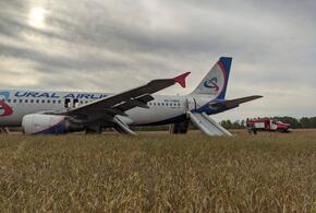 Появились подробности расследования экстренной посадки рейса «Сочи – Омск» в поле 