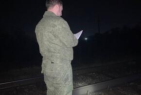В Краснодаре на железнодорожных путях найдено тело 24-летней девушки