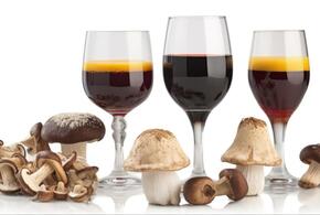 Вино с ферментами китайского гриба презентовали в РОСБИОТЕХе