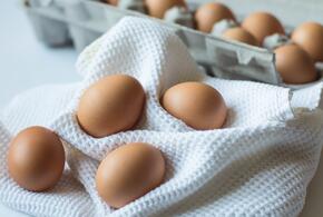 Очереди за дешевыми яйцами выстраиваются на Кубани