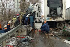 На Кубани столкнулись три грузовика, водителя доставали из раздавленной кабины при помощи спецтехники