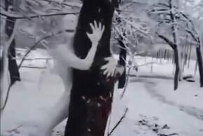 «Снежного человека» сняли на видео в Краснодаре